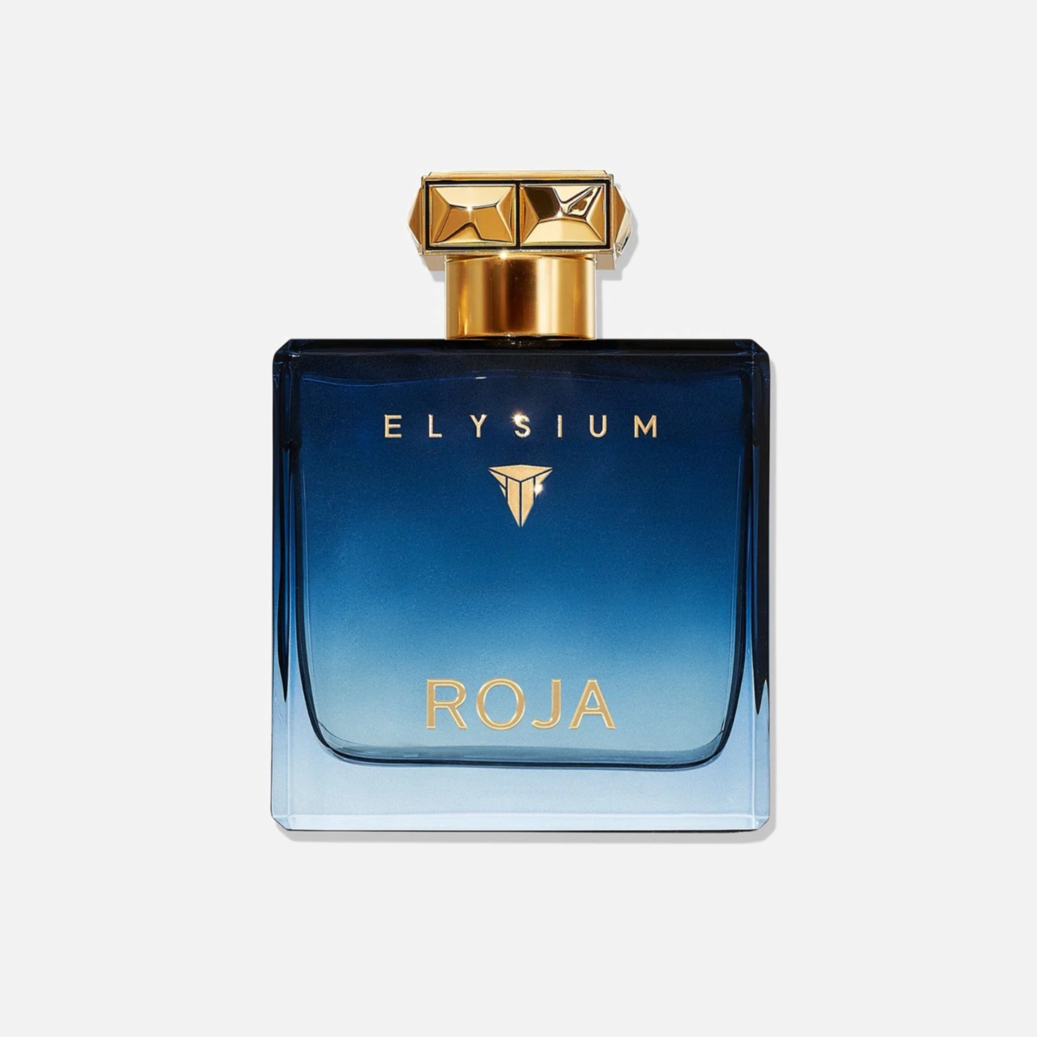 Roja London Elysium Pour Homme Men's Eau de Parfum - 100ml – bottle